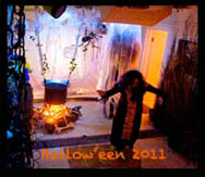 2011 video