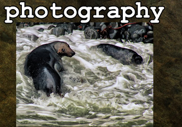 Photos