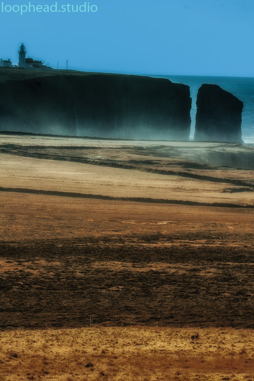 Loop Head