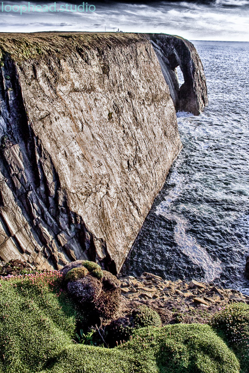 Loop Head