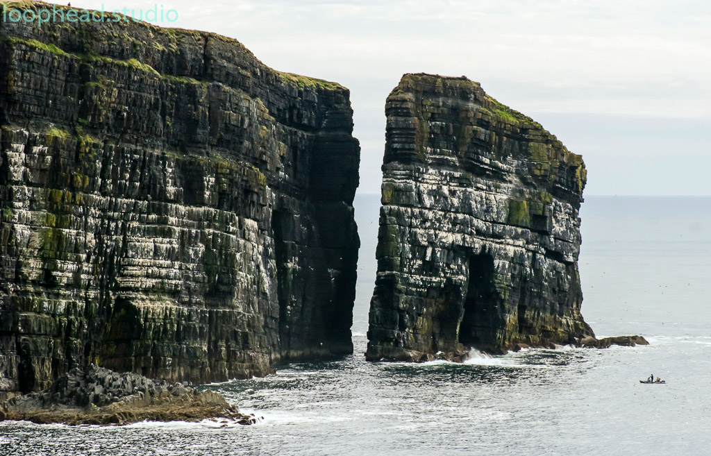 Loop Head