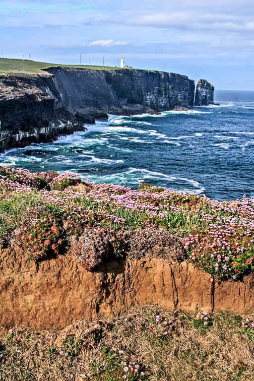 Loop Head