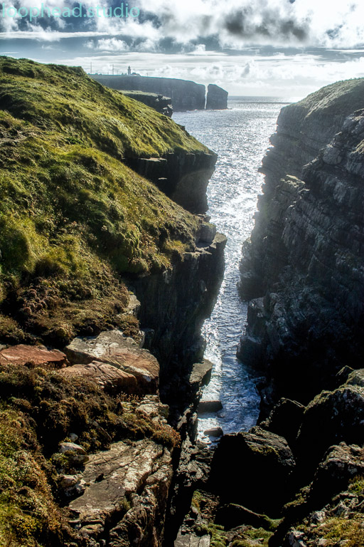 Loop Head