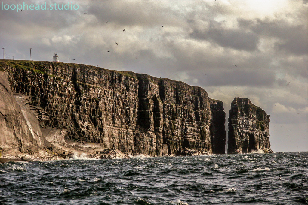 Loop Head