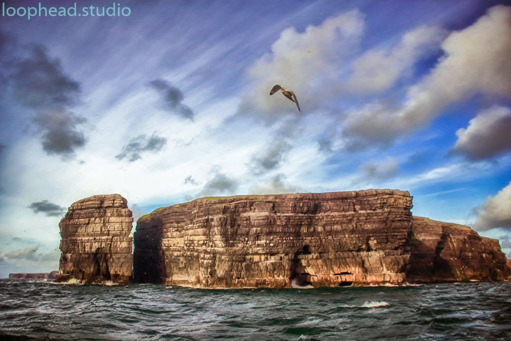 Loop Head