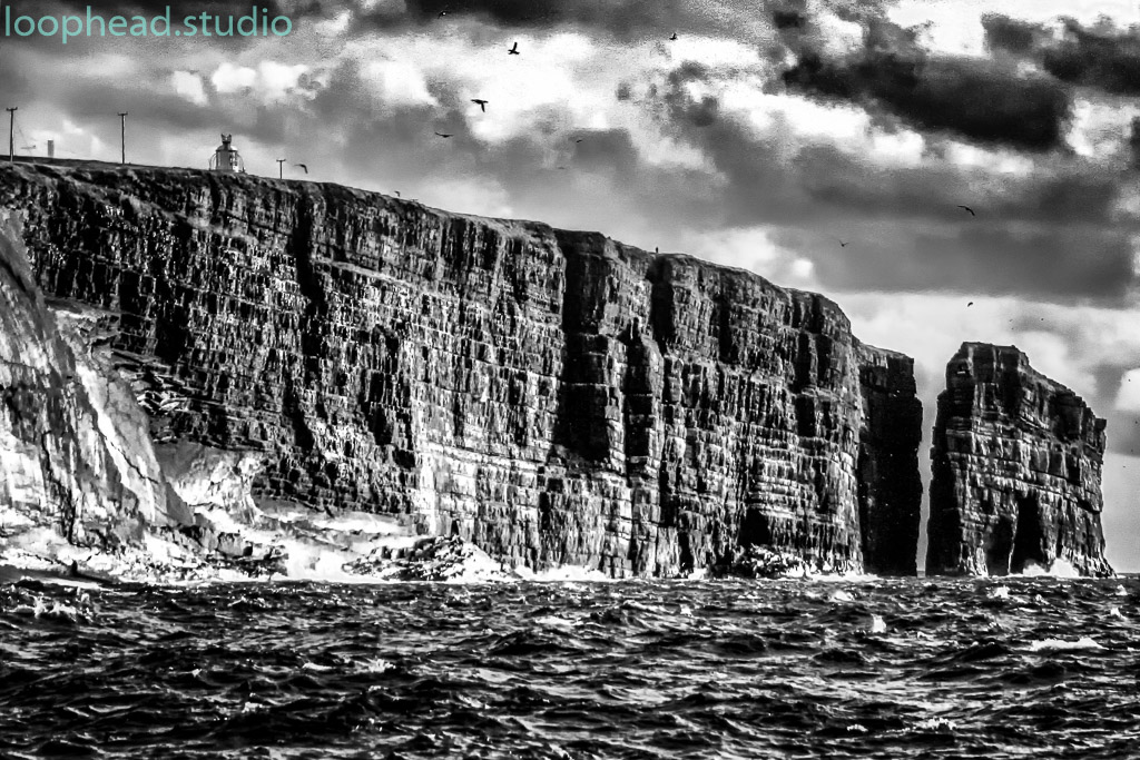 Loop Head