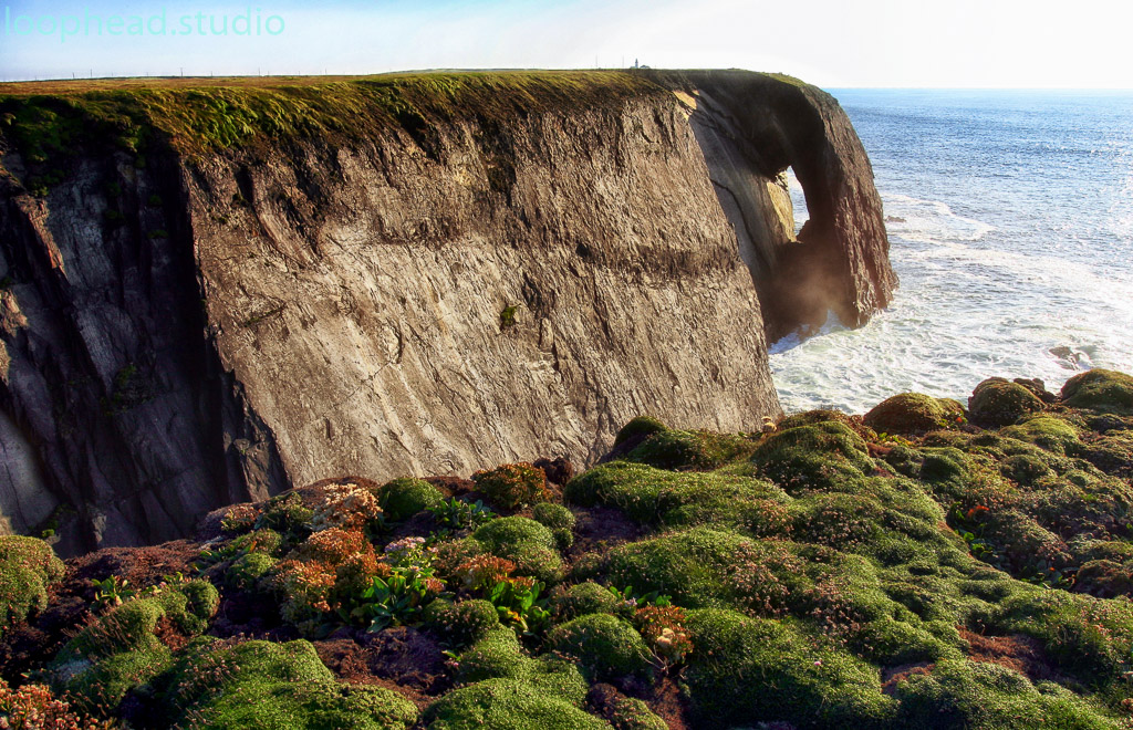 Loop Head